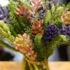 Hyacinth Delight Flower