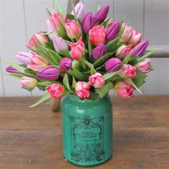 Provincial Herbalist Tulip Vase