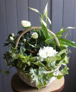 A White Flowering Planted Basket