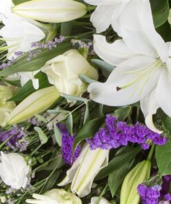 White & Purple Sheaf Flower